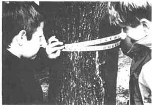Two students take a diameter measurement