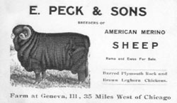 Peck & Sons