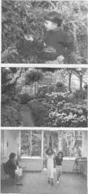 Conservatory photos