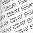 Essay