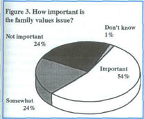 Figure 3, How important is the family values issue?