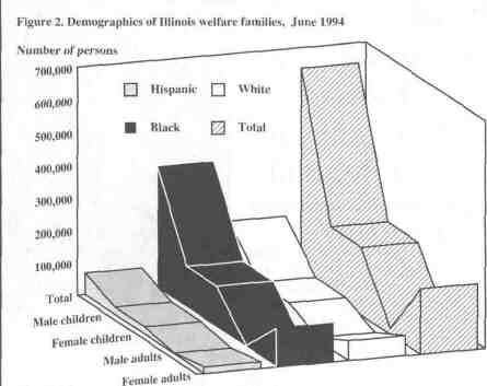 Figure 2. Demographics of Illinois welfare families, June 1994