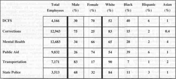 Table 1. State agency employees by gender and race