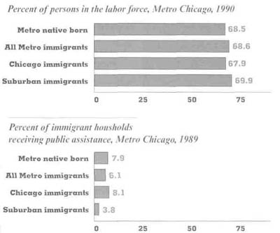 Source: Indicators for Understanding by the Latino Institute and Northern Illinois University at DeKalb
