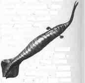 Tully monster