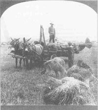 Immigrants Working on the Farm