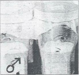 iht6399709.jpg