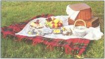 Picnic