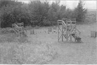Wildlife viewing area