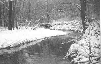 Rock Cut State Park