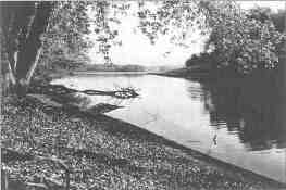 Lake scene