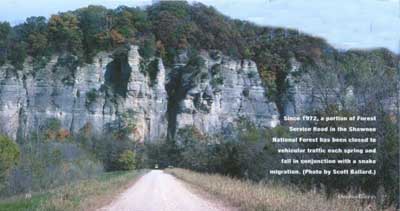 Shawnee National Forest