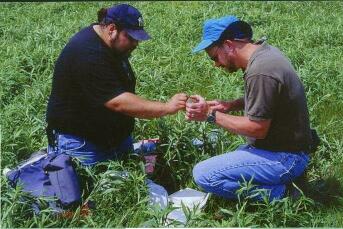 Herpetologists Michael Dresilk and Christopher Phillips